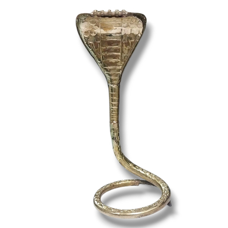 Brass Naag