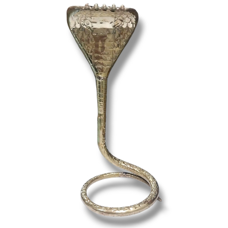 Brass Naag
