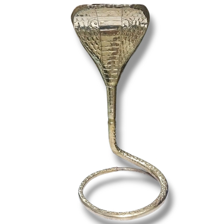 Brass Naag