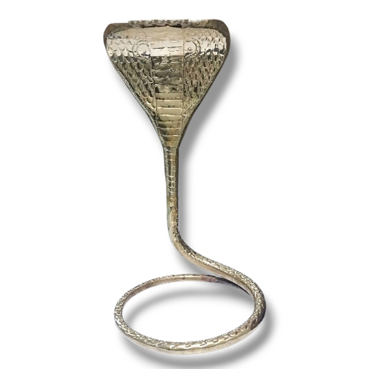 Brass Naag