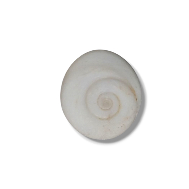 Gomta Chakra