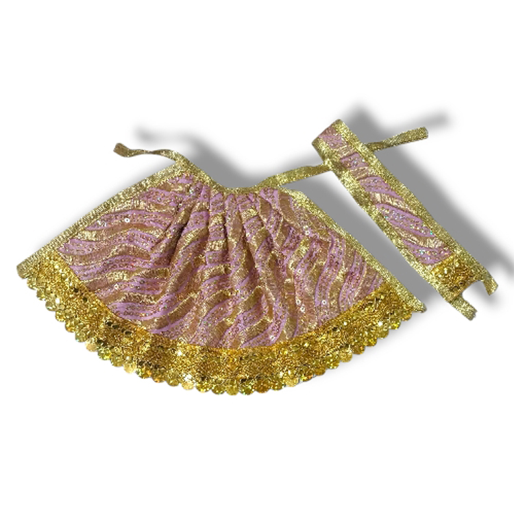 Laxmi ji dress No.5