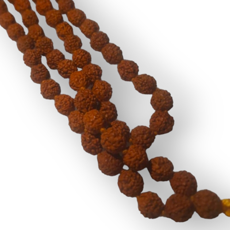 Rudraksh mala